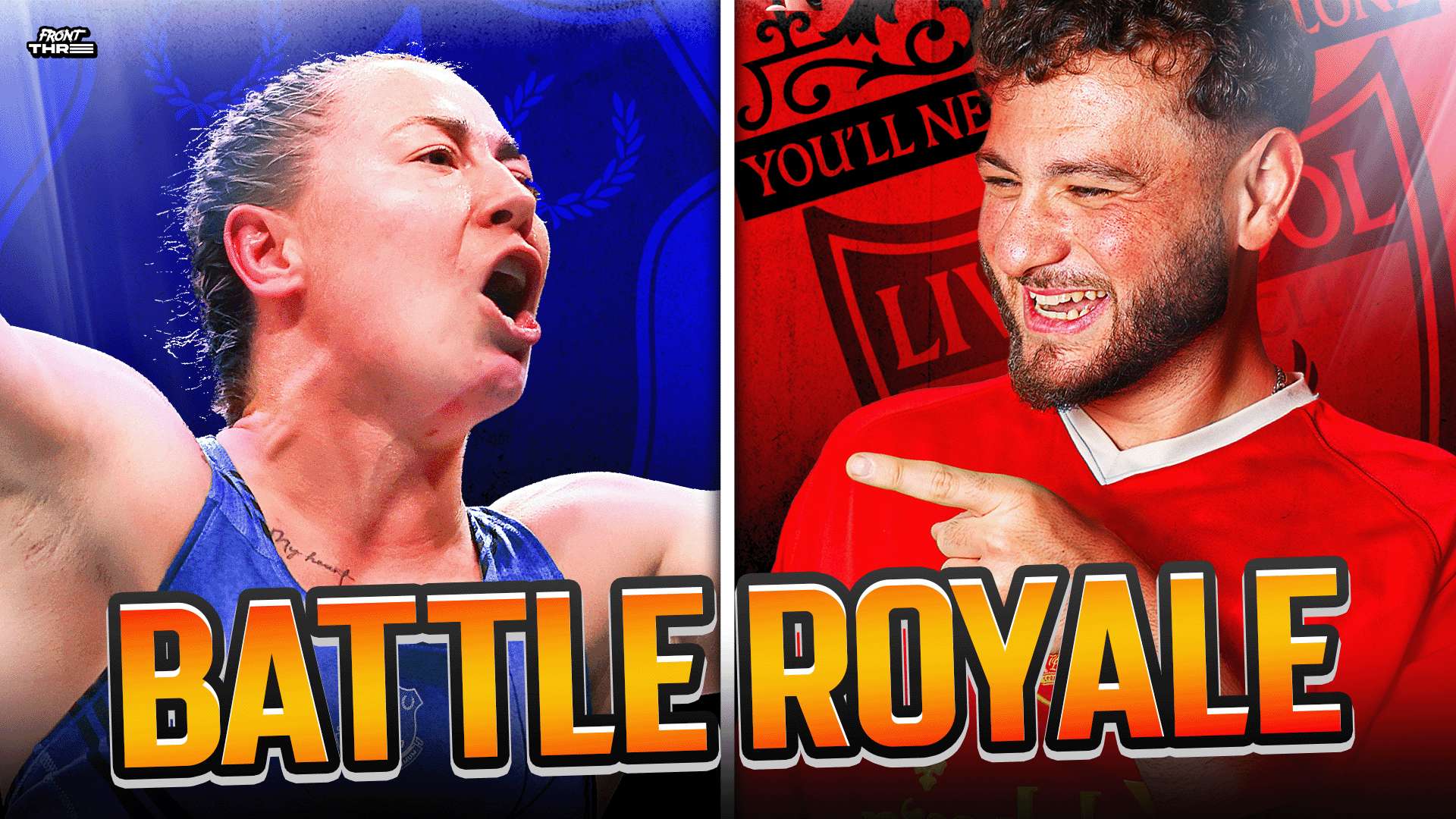 一项全国性 一项全国性