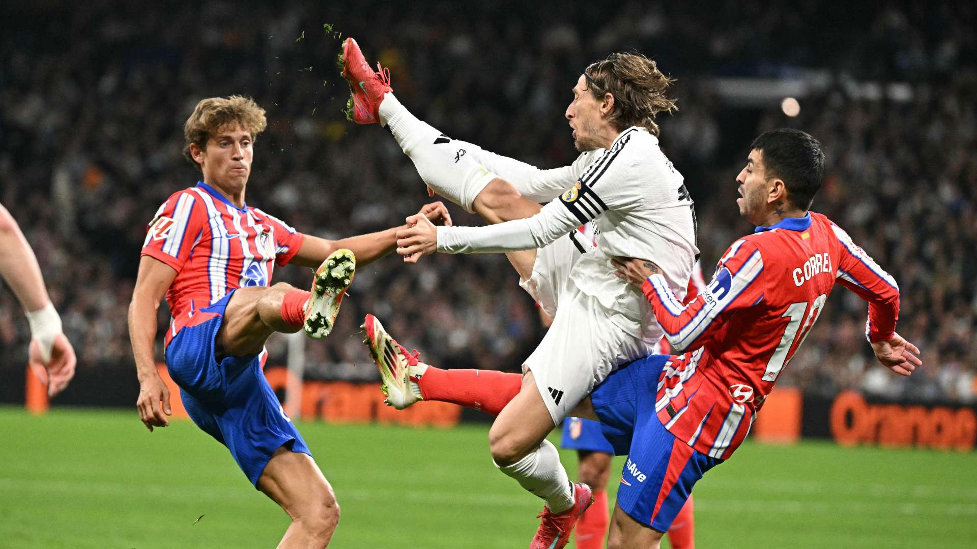 未来展望 未来展望